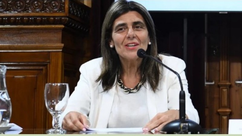 La senadora Juri contra las candidaturas testimoniales: "Es una estafa a los votantes"